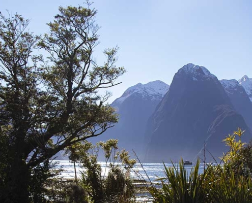 Milford-Sound