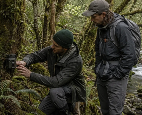 nz-environmental-stewardship
