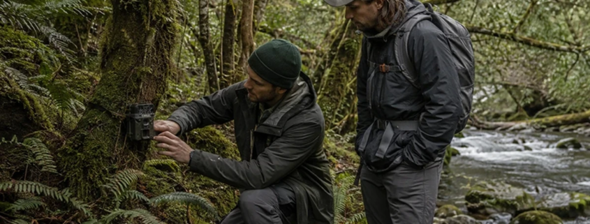 nz-environmental-stewardship